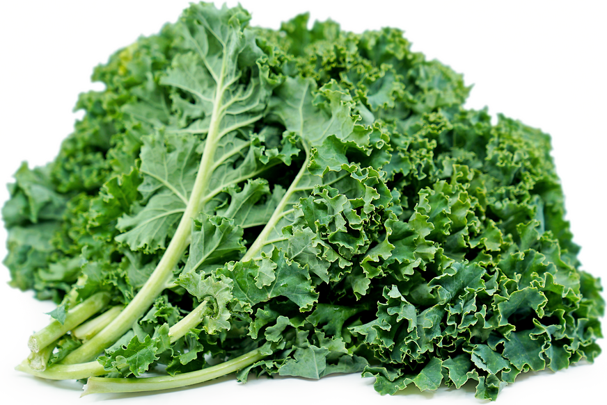 Kale 10lb Bundles 