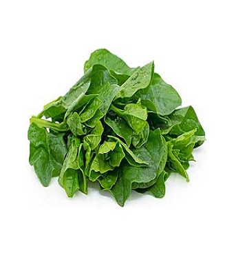 Spinach 10lb Bundles 